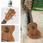 Kalena Concert Longneck Solid Acacia Top Ukulele with Maple binding Complete Set