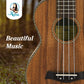 Kalena Concert Longneck Solid Acacia Top Ukulele with Maple binding Complete Set