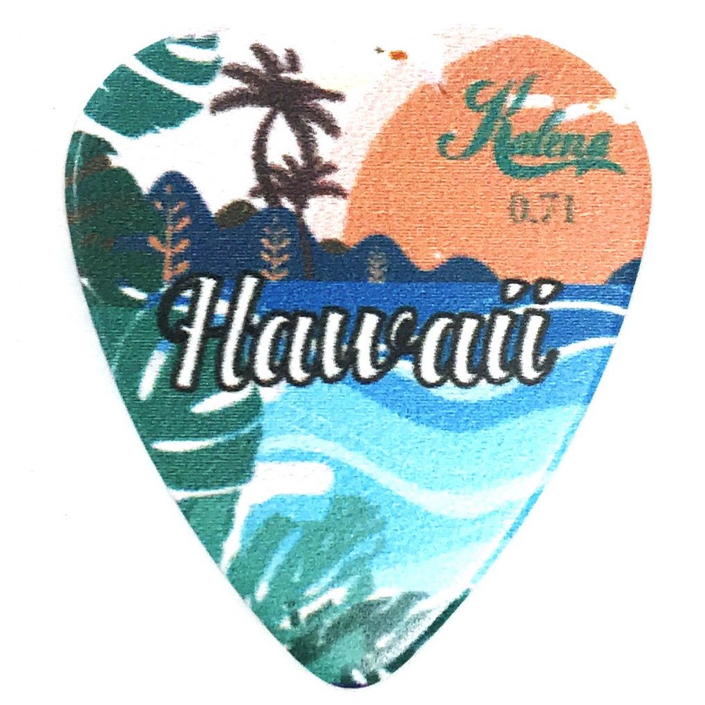 Kalena Collector's Hawaii Pick - Kalena Instruments / Hawaii View