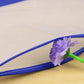 Paper Document file zipper musical bag