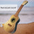 Kalena ABS thermoplastic 21” Soprano Ukulele - Kalena Instruments