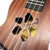 Kalena Moonlight Sapele Ukulele Hibiscus Edition (Complete Set) - Kalena Instruments