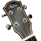 Kalena Chiaroscuro Concert Spruce Ukulele Complete Set