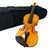 Kalena Spruce Top Violin 3/4 size includes hard case with bow, shoulder rest and rosin