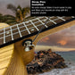Kalena Zebrawood Sun Engraving Ukulele Complete Set - Kalena Instruments / 21" Soprano